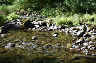 Filename=DSC_3031.JPG
Filesize=24425KiB
Dimensions=7360x4912
Date added=Sep 23, 2019 DSC_3031.JPG