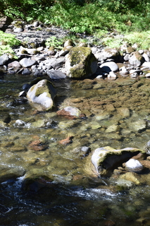 Filename=DSC_3032.JPG
Filesize=20688KiB
Dimensions=4912x7360
Date added=Sep 23, 2019 DSC_3032.JPG