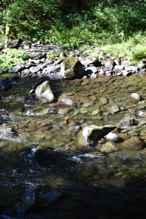 Filename=DSC_3033.JPG
Filesize=20469KiB
Dimensions=4912x7360
Date added=Sep 23, 2019 DSC_3033.JPG