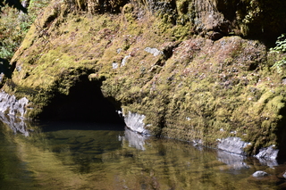 Filename=DSC_3037.JPG
Filesize=27521KiB
Dimensions=7360x4912
Date added=Sep 23, 2019 DSC_3037.JPG