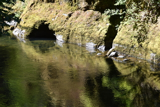 Filename=DSC_3038.JPG
Filesize=27129KiB
Dimensions=7360x4912
Date added=Sep 23, 2019 DSC_3038.JPG