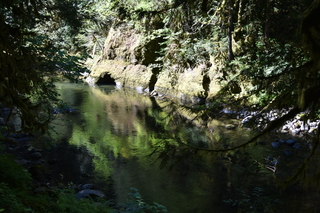 Filename=DSC_3039.JPG
Filesize=23312KiB
Dimensions=7360x4912
Date added=Sep 23, 2019 DSC_3039.JPG