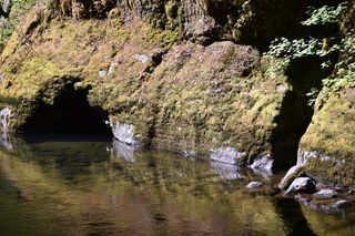 Filename=DSC_3041.JPG
Filesize=27788KiB
Dimensions=7360x4912
Date added=Sep 23, 2019 DSC_3041.JPG