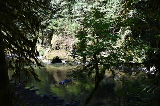 Filename=DSC_3043.JPG
Filesize=23798KiB
Dimensions=7360x4912
Date added=Sep 23, 2019 DSC_3043.JPG