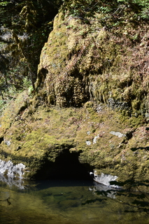 Filename=DSC_3044.JPG
Filesize=24245KiB
Dimensions=4912x7360
Date added=Sep 23, 2019 DSC_3044.JPG