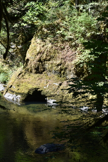 Filename=DSC_3045.JPG
Filesize=22631KiB
Dimensions=4912x7360
Date added=Sep 23, 2019 DSC_3045.JPG