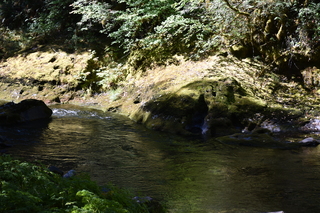 Filename=DSC_3047.JPG
Filesize=23738KiB
Dimensions=7360x4912
Date added=Sep 23, 2019 DSC_3047.JPG