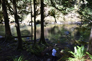 Filename=DSC_3048.JPG
Filesize=22237KiB
Dimensions=7360x4912
Date added=Sep 23, 2019 DSC_3048.JPG