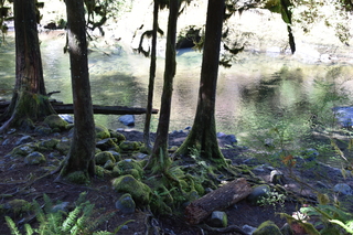 Filename=DSC_3049.JPG
Filesize=21068KiB
Dimensions=7360x4912
Date added=Sep 23, 2019 DSC_3049.JPG