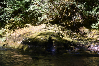 Filename=DSC_3050.JPG
Filesize=24308KiB
Dimensions=7360x4912
Date added=Sep 23, 2019 DSC_3050.JPG