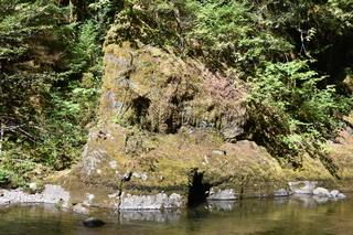 Filename=DSC_3053.JPG
Filesize=29430KiB
Dimensions=7360x4912
Date added=Sep 23, 2019 DSC_3053.JPG