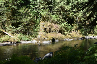 Filename=DSC_3054.JPG
Filesize=28008KiB
Dimensions=7360x4912
Date added=Sep 23, 2019 DSC_3054.JPG