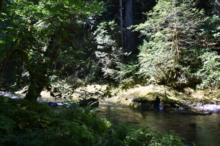 Filename=DSC_3055.JPG
Filesize=25086KiB
Dimensions=7360x4912
Date added=Sep 23, 2019 DSC_3055.JPG