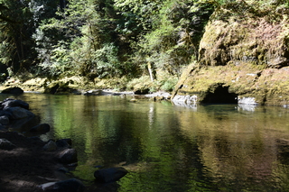 Filename=DSC_3057.JPG
Filesize=25281KiB
Dimensions=7360x4912
Date added=Sep 23, 2019 DSC_3057.JPG