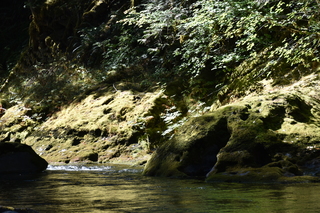 Filename=DSC_3058.JPG
Filesize=23445KiB
Dimensions=7360x4912
Date added=Sep 23, 2019 DSC_3058.JPG