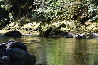 Filename=DSC_3059.JPG
Filesize=24021KiB
Dimensions=7360x4912
Date added=Sep 23, 2019 DSC_3059.JPG