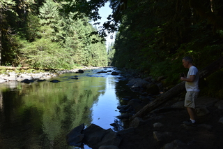 Filename=DSC_3060.JPG
Filesize=20552KiB
Dimensions=7360x4912
Date added=Sep 23, 2019 DSC_3060.JPG