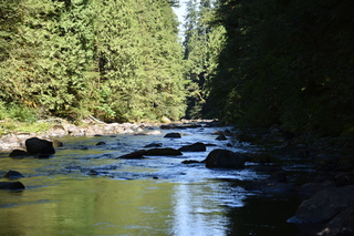 Filename=DSC_3061.JPG
Filesize=22153KiB
Dimensions=7360x4912
Date added=Sep 23, 2019 DSC_3061.JPG