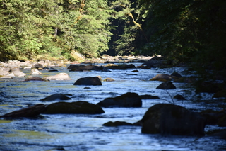 Filename=DSC_3062.JPG
Filesize=19185KiB
Dimensions=7360x4912
Date added=Sep 23, 2019 DSC_3062.JPG