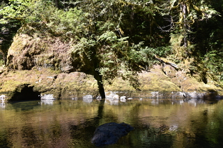 Filename=DSC_3064.JPG
Filesize=28532KiB
Dimensions=7360x4912
Date added=Sep 23, 2019 DSC_3064.JPG