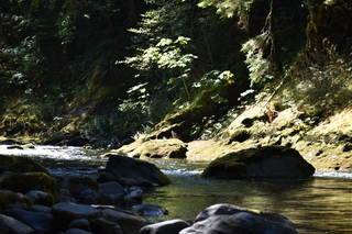 Filename=DSC_3065.JPG
Filesize=19619KiB
Dimensions=7360x4912
Date added=Sep 23, 2019 DSC_3065.JPG