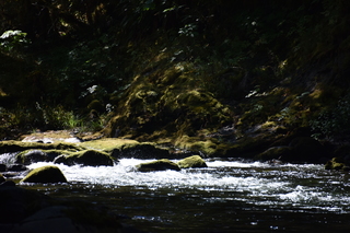 Filename=DSC_3070.JPG
Filesize=18072KiB
Dimensions=7360x4912
Date added=Sep 23, 2019 DSC_3070.JPG