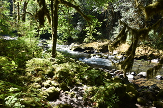 Filename=DSC_3072.JPG
Filesize=25746KiB
Dimensions=7360x4912
Date added=Sep 23, 2019 DSC_3072.JPG