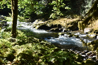 Filename=DSC_3073.JPG
Filesize=24180KiB
Dimensions=7360x4912
Date added=Sep 23, 2019 DSC_3073.JPG