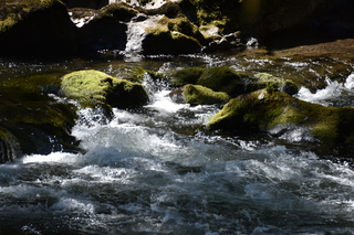 Filename=DSC_3074.JPG
Filesize=20580KiB
Dimensions=7360x4912
Date added=Sep 23, 2019 DSC_3074.JPG