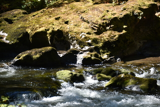 Filename=DSC_3075.JPG
Filesize=23534KiB
Dimensions=7360x4912
Date added=Sep 23, 2019 DSC_3075.JPG