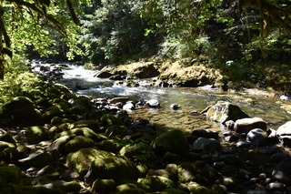 Filename=DSC_3076.JPG
Filesize=23439KiB
Dimensions=7360x4912
Date added=Sep 23, 2019 DSC_3076.JPG