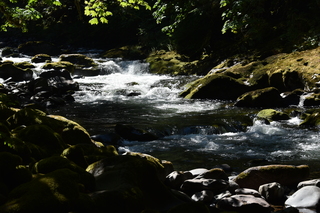 Filename=DSC_3080.JPG
Filesize=19583KiB
Dimensions=7360x4912
Date added=Sep 23, 2019 DSC_3080.JPG