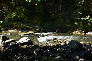 Filename=DSC_3082.JPG
Filesize=20106KiB
Dimensions=7360x4912
Date added=Sep 23, 2019 DSC_3082.JPG