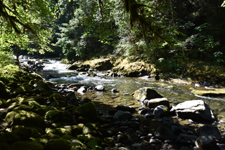 Filename=DSC_3086.JPG
Filesize=23083KiB
Dimensions=7360x4912
Date added=Sep 23, 2019 DSC_3086.JPG