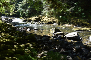 Filename=DSC_3087.JPG
Filesize=22261KiB
Dimensions=7360x4912
Date added=Sep 23, 2019 DSC_3087.JPG