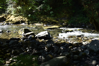 Filename=DSC_3088.JPG
Filesize=20790KiB
Dimensions=7360x4912
Date added=Sep 23, 2019 DSC_3088.JPG