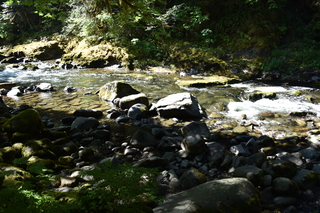 Filename=DSC_3089.JPG
Filesize=21195KiB
Dimensions=7360x4912
Date added=Sep 23, 2019 DSC_3089.JPG