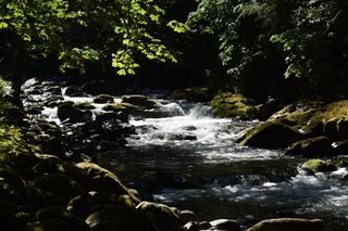 Filename=DSC_3091.JPG
Filesize=20832KiB
Dimensions=7360x4912
Date added=Sep 23, 2019 DSC_3091.JPG