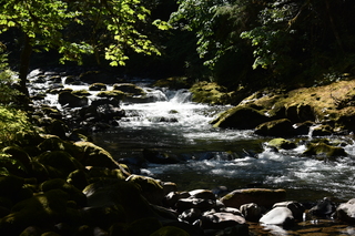 Filename=DSC_3092.JPG
Filesize=21208KiB
Dimensions=7360x4912
Date added=Sep 23, 2019 DSC_3092.JPG