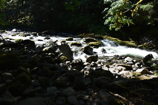 Filename=DSC_3096.JPG
Filesize=18403KiB
Dimensions=7360x4912
Date added=Sep 23, 2019 DSC_3096.JPG