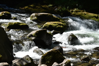 Filename=DSC_3098.JPG
Filesize=21849KiB
Dimensions=7360x4912
Date added=Sep 23, 2019 DSC_3098.JPG