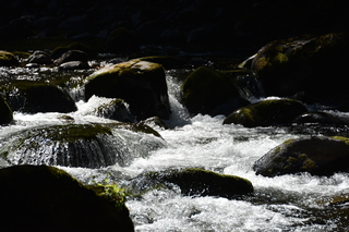 Filename=DSC_3099.JPG
Filesize=19093KiB
Dimensions=7360x4912
Date added=Sep 23, 2019 DSC_3099.JPG