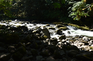 Filename=DSC_3101.JPG
Filesize=18618KiB
Dimensions=7360x4912
Date added=Sep 23, 2019 DSC_3101.JPG