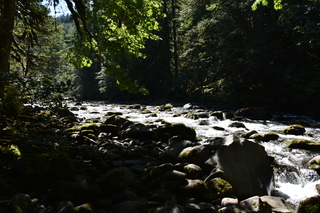 Filename=DSC_3102.JPG
Filesize=20271KiB
Dimensions=7360x4912
Date added=Sep 23, 2019 DSC_3102.JPG