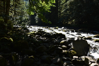 Filename=DSC_3103.JPG
Filesize=19431KiB
Dimensions=7360x4912
Date added=Sep 23, 2019 DSC_3103.JPG