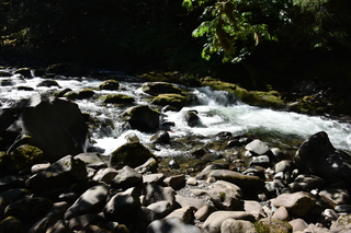 Filename=DSC_3104.JPG
Filesize=20166KiB
Dimensions=7360x4912
Date added=Sep 23, 2019 DSC_3104.JPG