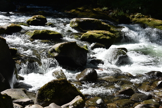 Filename=DSC_3106.JPG
Filesize=23103KiB
Dimensions=7360x4912
Date added=Sep 23, 2019 DSC_3106.JPG