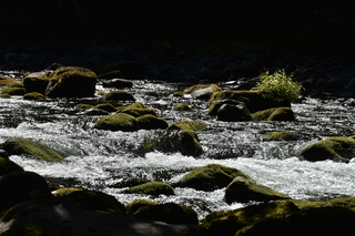 Filename=DSC_3108.JPG
Filesize=21158KiB
Dimensions=7360x4912
Date added=Sep 23, 2019 DSC_3108.JPG