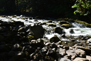 Filename=DSC_3110.JPG
Filesize=19175KiB
Dimensions=7360x4912
Date added=Sep 23, 2019 DSC_3110.JPG