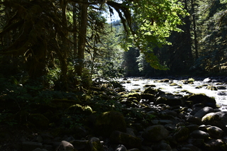 Filename=DSC_3111.JPG
Filesize=20200KiB
Dimensions=7360x4912
Date added=Sep 23, 2019 DSC_3111.JPG